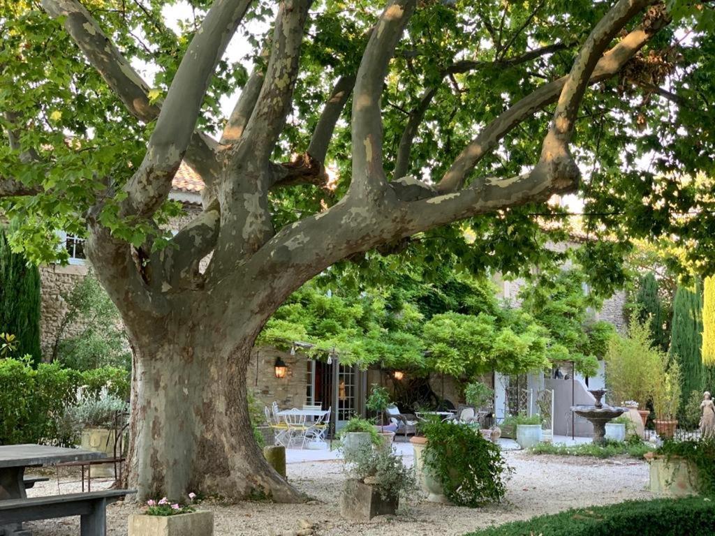 Le Clos De Lucie Lagnes ภายนอก รูปภาพ